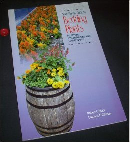 Your Florida Guide to Bedding Plants: Selection, Establishment, and Maintenance