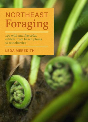 Northeast Foraging: 120 Wild and Flavorful Edibles from Beach Plums to Wineberries (Regional Foraging)