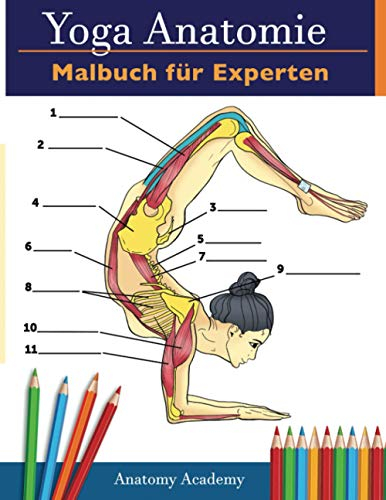 Yoga-Anatomie-Malbuch für Experten: 50+ Unglaublich Detailliertes Arbeitsbuch zum Selbsttest von Fortgeschrittenen Yoga-Posen in Farbe | Das Perfekte Geschenk für Yogalehrer, -Lehrner und -Begeisterte