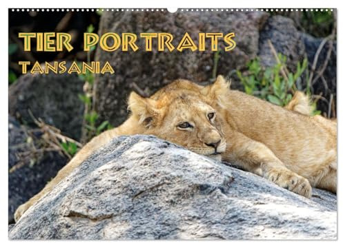 Tier Portraits Tansania (Wandkalender 2026 DIN A2 quer), CALVENDO Monatskalender: Die Schönheit und Einzigartigkeit der Tierwelt Tansanias eingefangen in ausdrucksstarken Bildern (CALVENDO Tiere)