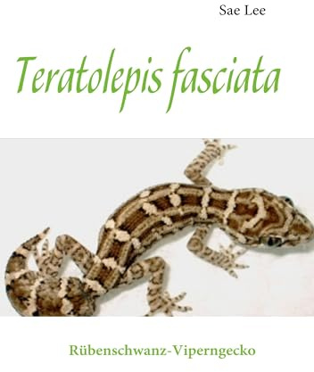 Teratolepis fasciata: Rübenschwanz-Viperngecko