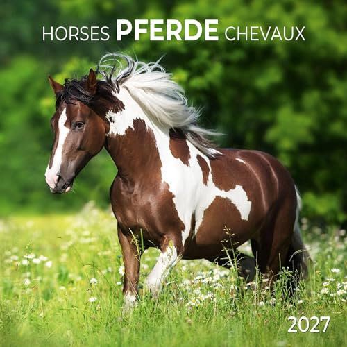 Pferde / Horses 2027: Kalender 2027 (Artwork Edition)