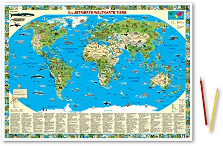 Erlebniskarte „Illustrierte Weltkarte Tiere“ Schreibunterlage