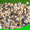 CJGQ Kieselsteine für Pflanzen, 3,2 kg, natürliche Flussfelsen für Garten, Outdoor, Aquarien, Kies, 2,5 - 3,8 cm