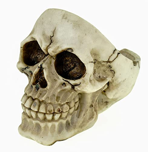 Vogler Schädel Aschenbecher 12cm - Totenkopf Ascher aus Kunststein - Gothic Deko Figur - Mehrfarbiger Totenschädel - Halloween Dekoration - Geschenkidee