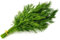 Herb Plants - Mixed Selection - Dill + Garlic Chives + Parsley - 3 x Full Plants in 9cm Pots - Dill Plants - Chive Plants - Parsley Plants - Garden Ready + Ready to Plant - Premium Quality Plants
