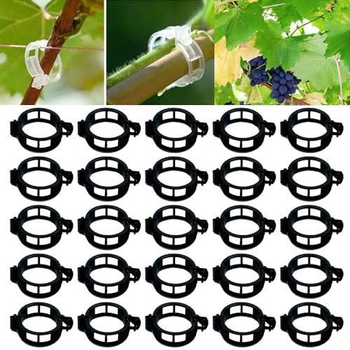 TBLMPNE Plant Support Clips de Jardin Tomate Clips Support, Clips de Support pour Plantes de Jardin Clips pour Les légumes Tomate Vigne tiges de Croissance Droit et Plus Sain (100, Noir)