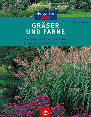 Gräser und Farne: Die schönsten Arten und Sorten Auswählen • Gestalten • Pflegen