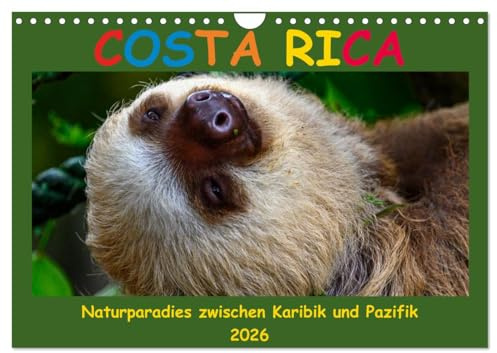 Costa Rica - Naturparadies zwischen Karibik und Pazifik (Wandkalender 2026 DIN A4 quer), CALVENDO Monatskalender: Schöne Tieraufnahmen aus Costa Rica und seinen Nationalparks (CALVENDO Tiere)