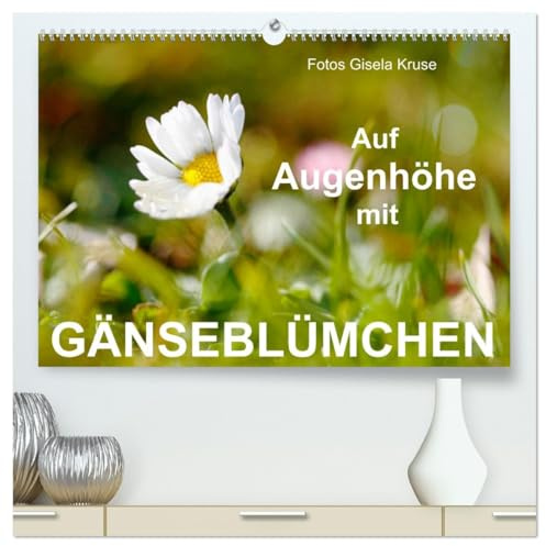 Auf Augenhöhe mit Gänseblümchen (hochwertiger Premium Wandkalender 2026 DIN A2 quer), Kunstdruck in Hochglanz: Den unverwüstlichen Wiesenblumen, die ... ins Gesicht geschaut (CALVENDO Natur)
