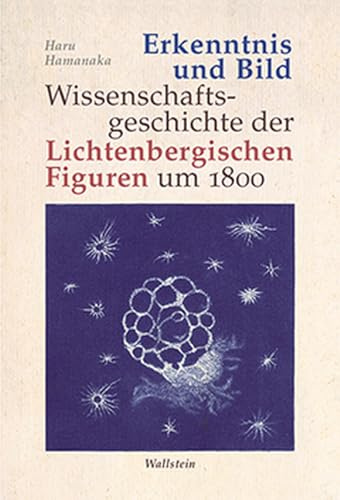 Erkenntnis und Bild: Wissenschaftsgeschichte der Lichtenbergischen Figuren um 1800 (Lichtenberg Studien)