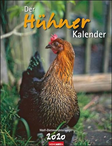Der Hühnerkalender. Wandkalender 2020. Monatskalendarium. Spiralbindung. Format 30 x 39 cm