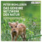 Das geheime Netzwerk der Natur: Wie Bäume Wolken machen und Regenwürmer Wildschweine kontrollieren. Verblüffende Einblicke in die Beziehungen zwischen Pflanzen und Tieren