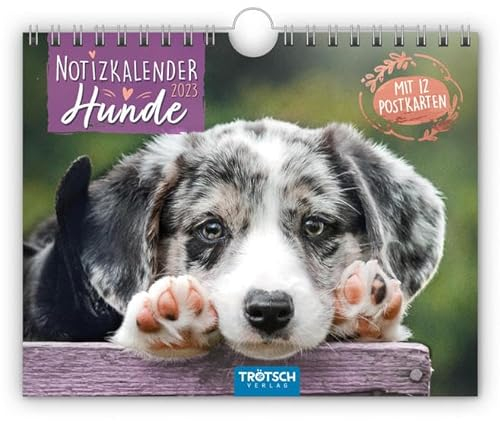 Trötsch Notizkalender Querformat Notizkalender Hunde 2024 - mit 12 Postkarten: Wandkalender Notizkalender