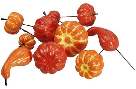 RiloStore 24 STK KÜRBIS am Draht DEKO Kürbisse OTH1 Deko Halloween Autumn Herbstdeko Dekokürbis Dekoobjekt Tischdeko Dekofrüchte Basteln Kränze Dekokranz Früchte