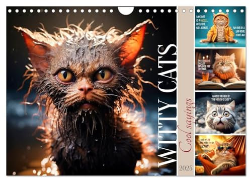 WITTY CATS Cool sayings (Wandkalender 2025 DIN A4 quer), CALVENDO Monatskalender
