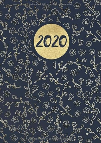 2020: Tageskalender für 2020 mit 1 Tag pro Seite mit Jahres und Monatsübersicht | Tracking von Gewohnheiten | Din A4 | VOL 55
