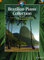 Brazilian Piano Collection: 19 Pieces. Klavier. (Schott World Music)