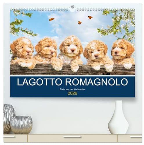 Lagotto Romagnolo - Bilder aus der Kinderstube (hochwertiger Premium Wandkalender 2026 DIN A2 quer), Kunstdruck in Hochglanz: 13 entzückende Fotos von ... der Rasse durch das Jahr (CALVENDO Tiere)
