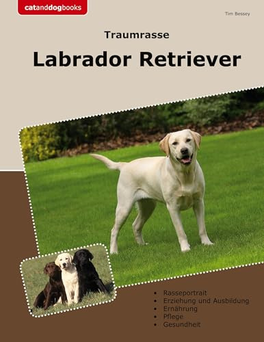 Traumrasse Labrador Retriever