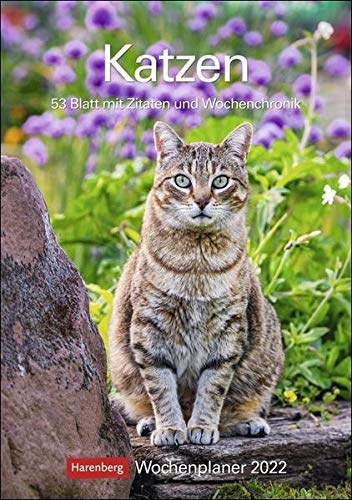 Katzen Kalender 2022: Wochenplaner, 53 Blatt mit Zitaten und Wochenchronik