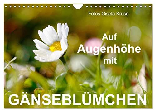 Auf Augenhöhe mit Gänseblümchen (Wandkalender 2026 DIN A4 quer), CALVENDO Monatskalender: Den unverwüstlichen Wiesenblumen, die selbst Schnee und Eis trotzen, ins Gesicht geschaut (CALVENDO Natur)