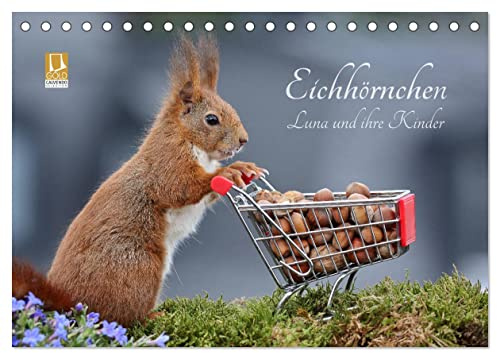 Eichhörnchen Luna und ihre Kinder (Tischkalender 2026 DIN A5 quer), CALVENDO Monatskalender: Zauberhafte Großaufnahmen von wilden Fotostars (CALVENDO Tiere)