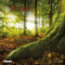 Deep Forest 2024: Kalender 2024 (Wonderful World)