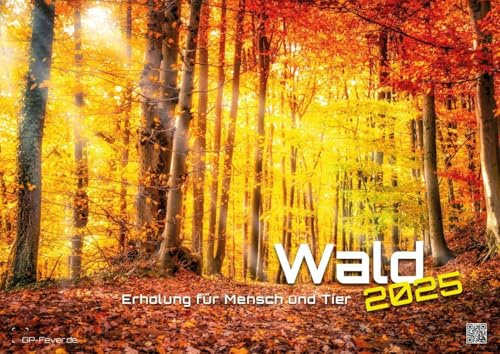 Wald - Erholung für Mensch und Tier - 2025 - Kalender DIN A2: Der Wandkalender mit den schönsten Motiven unserer Wälder für das Jahr 2025 im extragroßen Format DIN A2 (ca. 60 x 42 cm)!