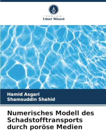 Numerisches Modell des Schadstofftransports durch poröse Medien