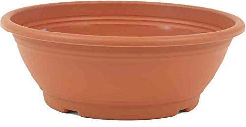 Siena Garden Ciotola Rotonda, Terracotta, 40 cm