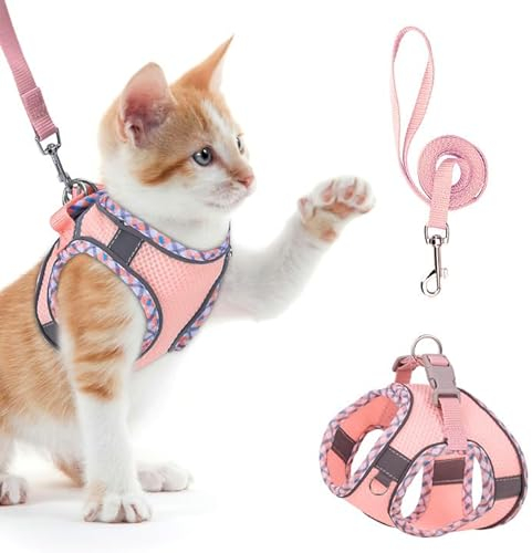 Brifit Katzengeschirr, Katzengeschirr mit Leine Ausbruchsicher, Softgeschirr für Katze mit Reflektierenden Streifen, Verstellbar Katzenweste, Cat Harness Katzen Geschirr [XS]Anwendbares Gewicht: 3-5kg