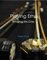 Playing Erhu: Bridging the Gap (English Edition)