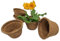 Coir Plant Pots/Each 1 Litre Volume, 14cm / Pack of 5 in box/Eco Friendly, Plastic Free, Compostable/Made From Coir Fibre and Natural Rubber