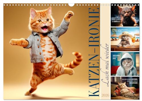 KATZEN-IRONIE Lach mal wieder (Wandkalender 2026 DIN A3 quer), CALVENDO Monatskalender: Samtpfötchen mit amüsanten Sprüchen (CALVENDO Spass)