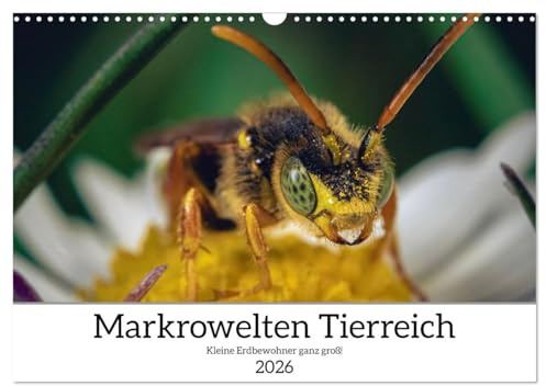 Makrowelten Tierreich (Wandkalender 2026 DIN A3 quer), CALVENDO Monatskalender: Insekten und kleine Tiere aus einem anderen Blickwinkel. (CALVENDO Tiere)