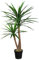 HTT Decorations - Künstliche Yucca Palme - Hochwertige Kunstpflanzen - 120 cm hoch