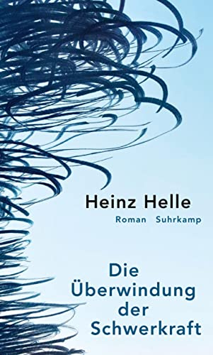 Die Überwindung der Schwerkraft: Roman