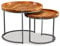 Tidyard Couchtisch Beistelltische aus Mangoholz & Metall - Satztisch aus Massiv Holz im 2 STK Set | Wohnzimmertisch aus Echtholz | Rund & Kompakt