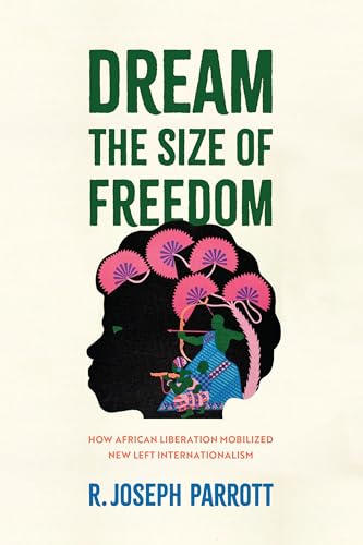 Dream the Size of Freedom: How African Liberation Mobilized New Left Internationalism (Power, Politics, and the World)