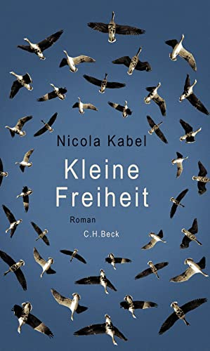 Kleine Freiheit: Roman