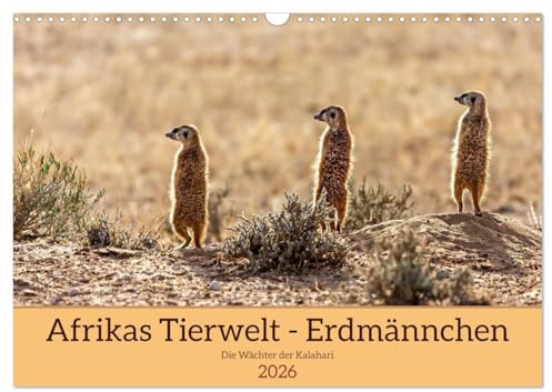 Afrikas Tierwelt - Erdmännchen (Wandkalender 2026 DIN A3 quer), CALVENDO Monatskalender: Ganz nah dran an den supersymphatischen Erdmännchen, die in ... Kalahari beheimatet sind. (CALVENDO Tiere)