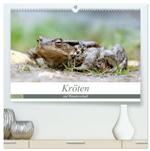 Kröten auf Wanderschaft (hochwertiger Premium Wandkalender 2026 DIN A2 quer), Kunstdruck in Hochglanz: Kröten unterwegs zu den Laichplätzen (CALVENDO Tiere)