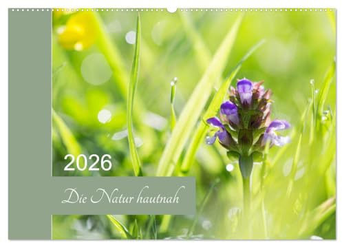 Die Natur hautnah (Wandkalender 2026 DIN A2 quer), CALVENDO Monatskalender: Pflanzendetails - die kleinen Dinge ganz groß. (CALVENDO Natur)