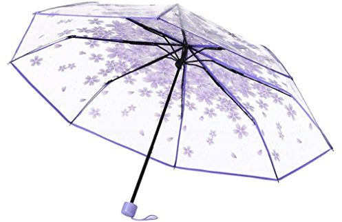 Momola Taschenschirm Transparent, Regenschirm Durchsichtig, Sakura 3 Falten Regenschirm Transparenter Schirm, Stabil, Faltbar für Reisen und Outdoor (Lila)