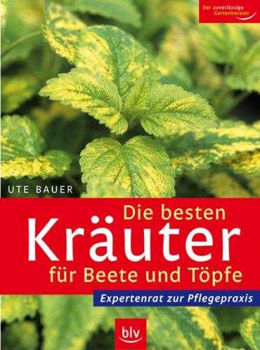 Die besten Kräuter für Beete und Töpfe