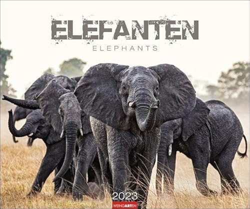 Elefanten Kalender 2023. Die sanften Riesen Afrikas, porträtiert in einem großen Wandkalender. Hochwertiger Fotokalender voll beeindruckender Tieraufnahmen.