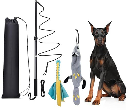 KOXXUD Flirt Pole Dogs, Dog Flirt Pole Extra Strong for Large Medium Small Dogs to Keep the Dog Entertained and Physically Exhausted Rope+Beaver