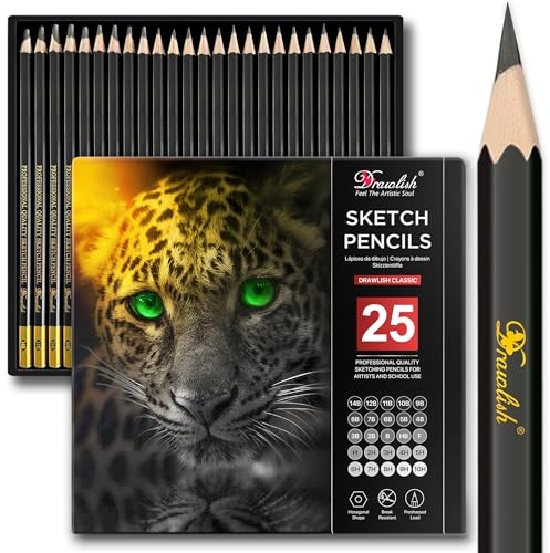 Drawlish Matite da disegno per artisti, 25 gradi (da 14B a 10H), set di matite per schizzi che coprono tutti i gradi – Matita in grafite con legno di prima qualità – Matita artistica ideale per
