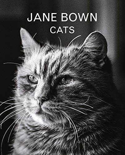 Guardian Faber Publishing